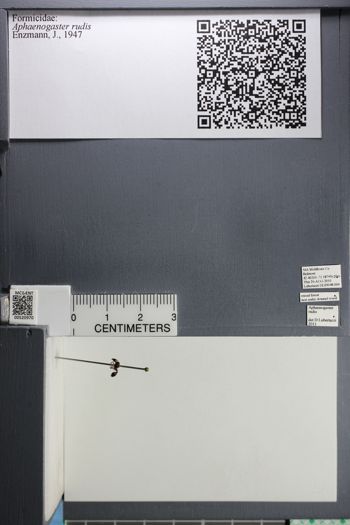 Media type: image; Entomology 520970